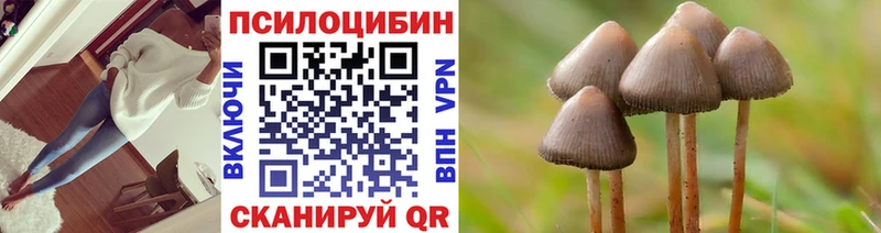 Псилоцибиновые грибы GOLDEN TEACHER  купить наркоту  Нижний Ломов 